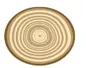 GROWTH RING CARPET Φ120cm Acrylic fibers