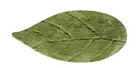LEAF CARPET L220xW140cm Acrylic fibers